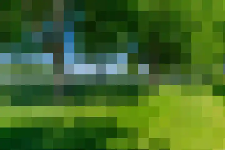 Rooseveltlaan 582 Utrecht thumbnail 42