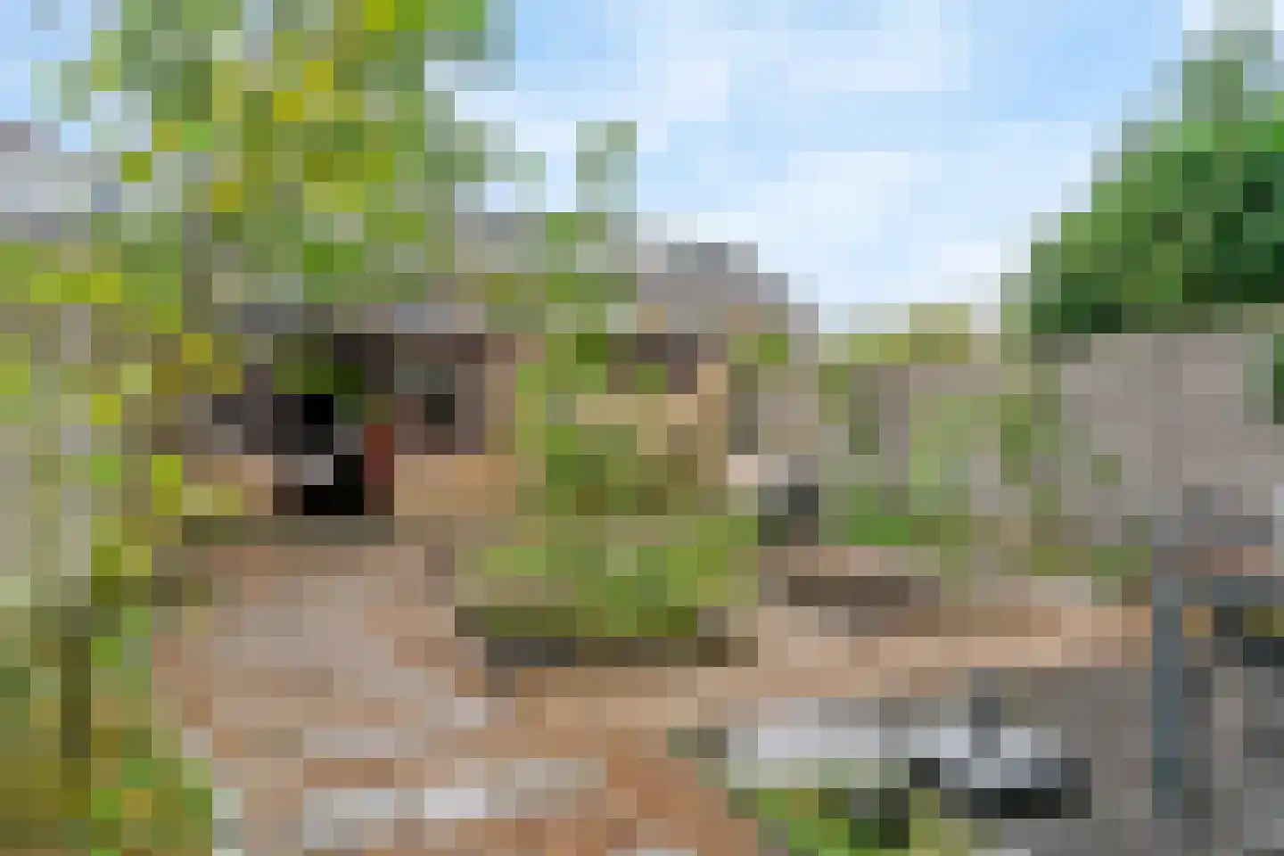 Rooseveltlaan 6 Castricum thumbnail 29