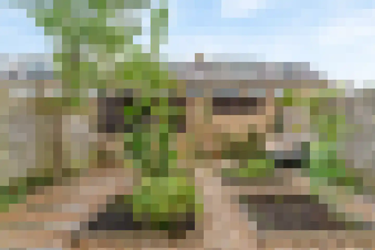 Rooseveltlaan 6 Castricum thumbnail 31