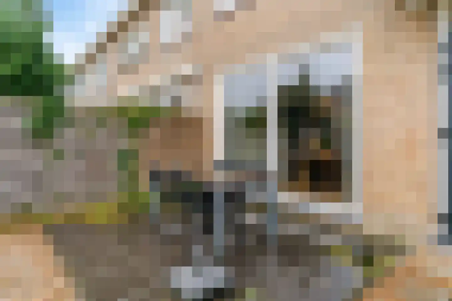 Rooseveltlaan 6 Castricum thumbnail 32