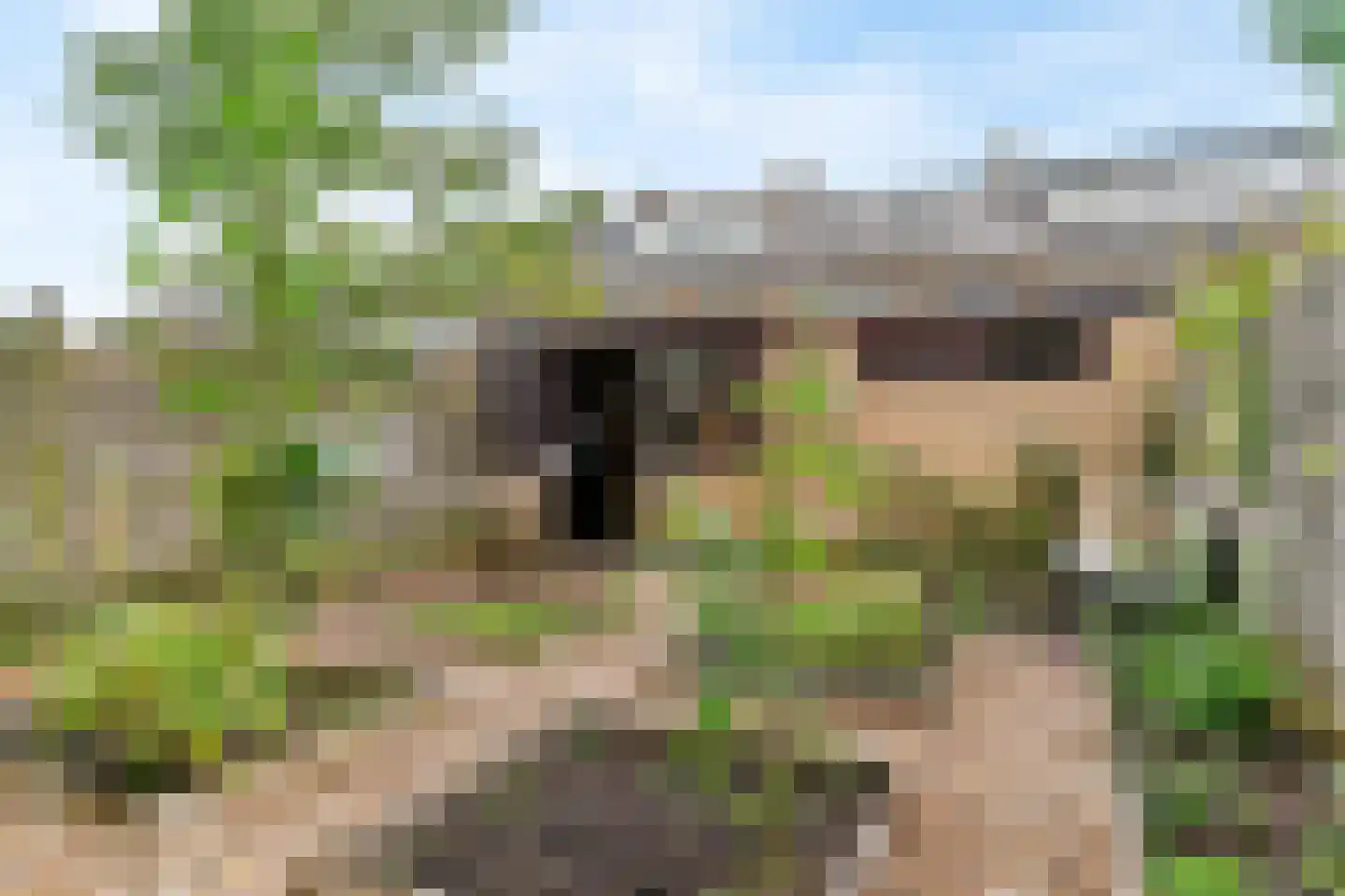 Rooseveltlaan 6 Castricum thumbnail 33