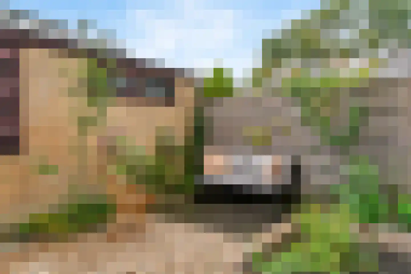 Rooseveltlaan 6 Castricum thumbnail 34