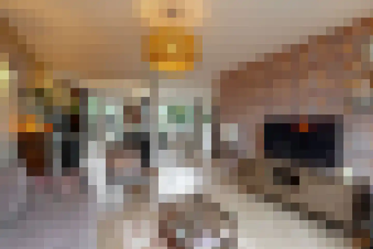 Rooseveltlaan 6 Castricum thumbnail 4
