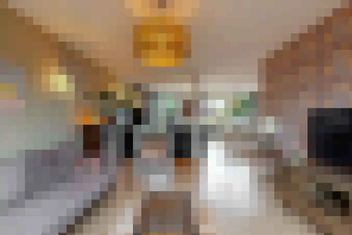 Rooseveltlaan 6 Castricum thumbnail 6