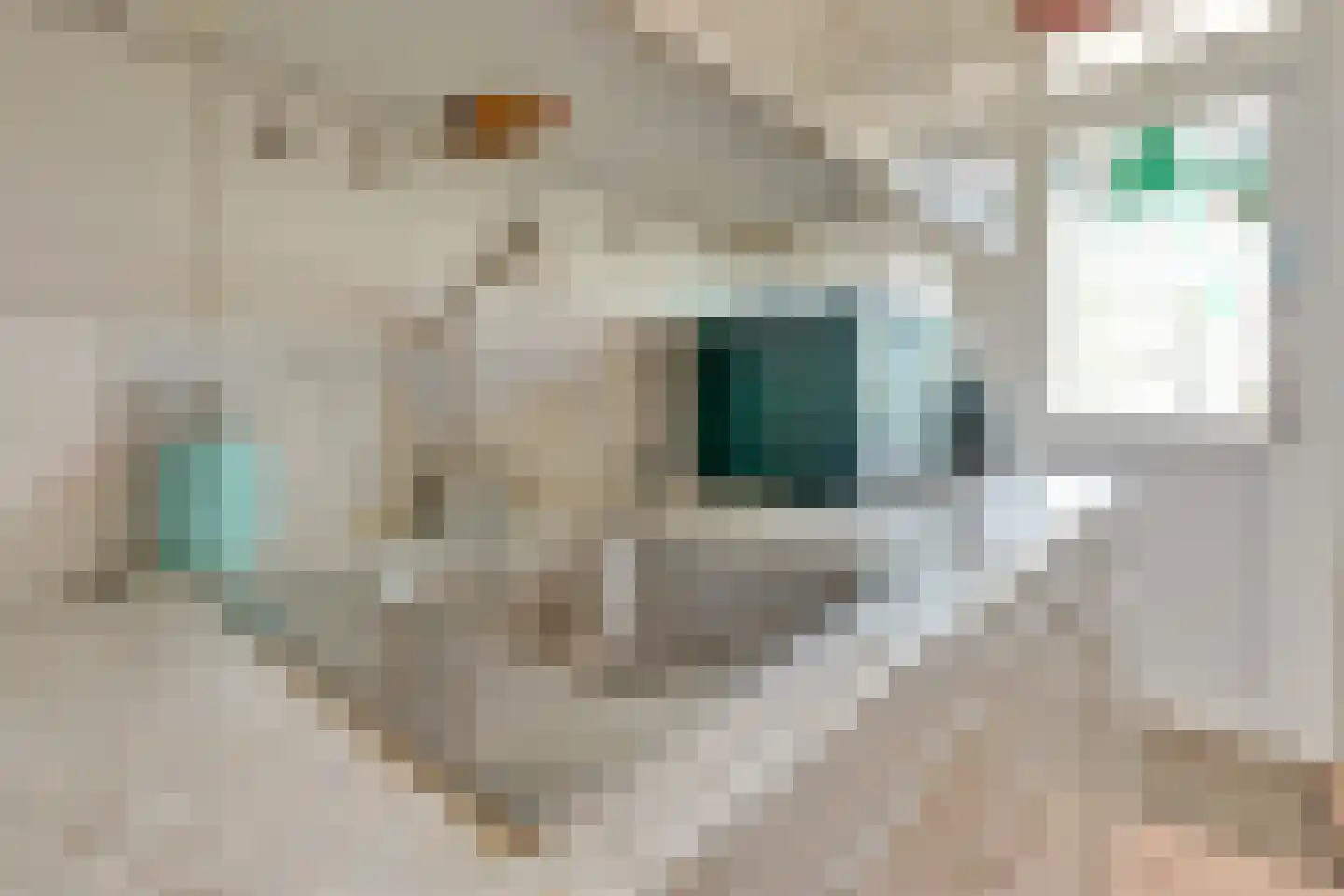 Rooseveltlaan 606 Utrecht thumbnail 21