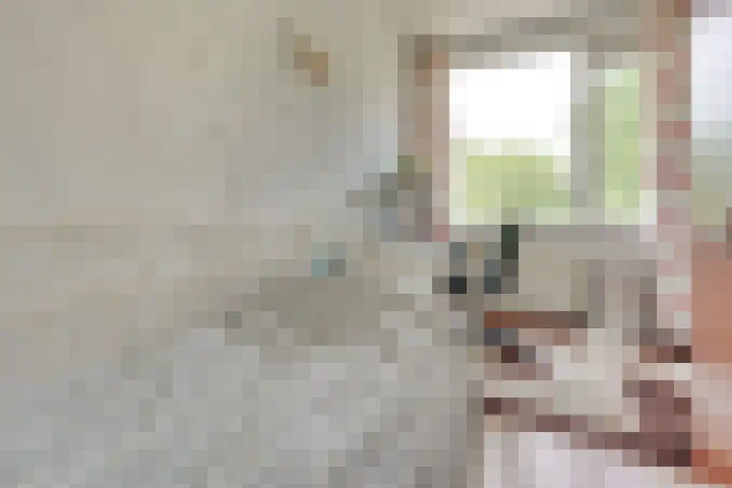 Rooseveltlaan 606 Utrecht thumbnail 31