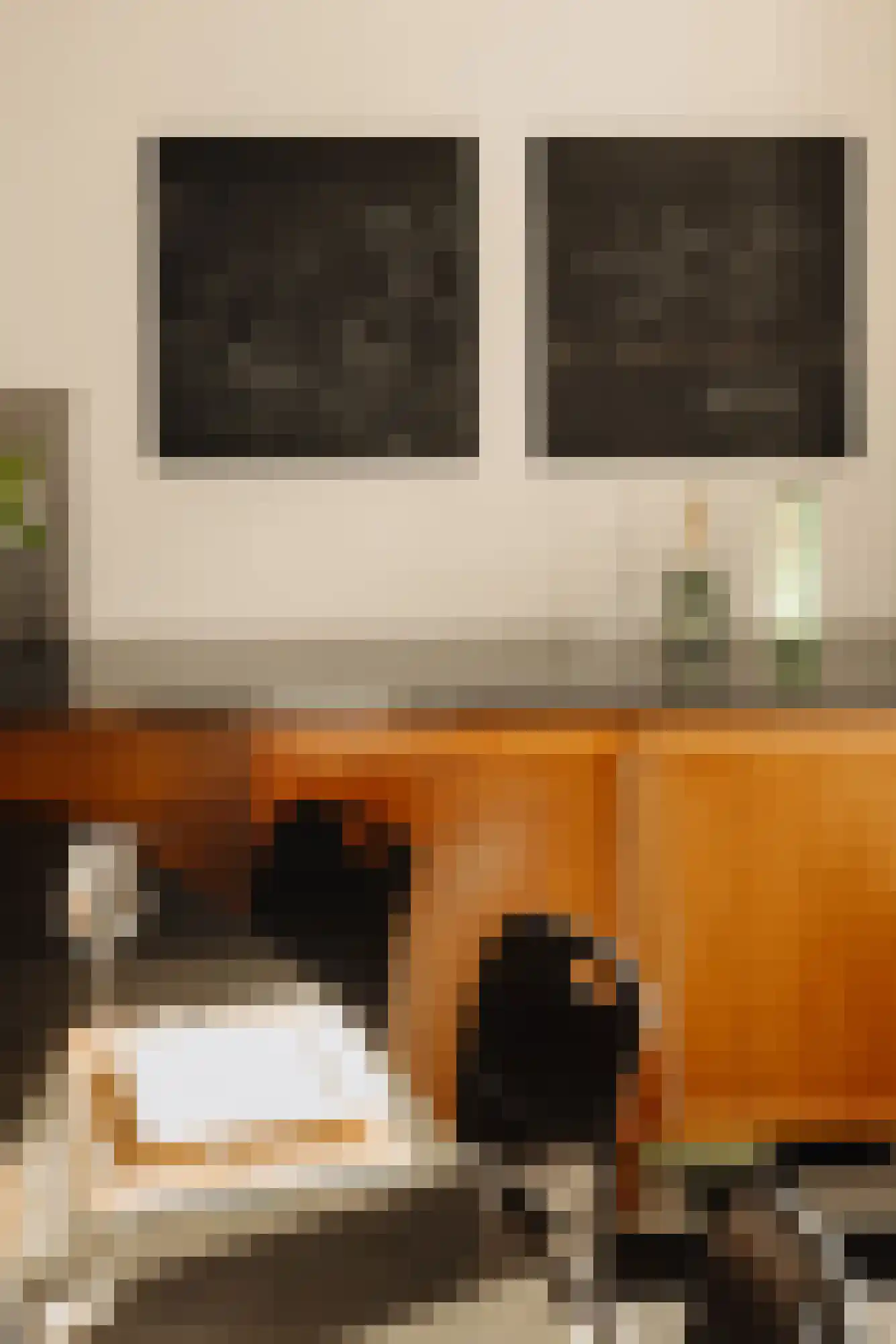 Rooseveltlaan 61 2 Amsterdam thumbnail 18