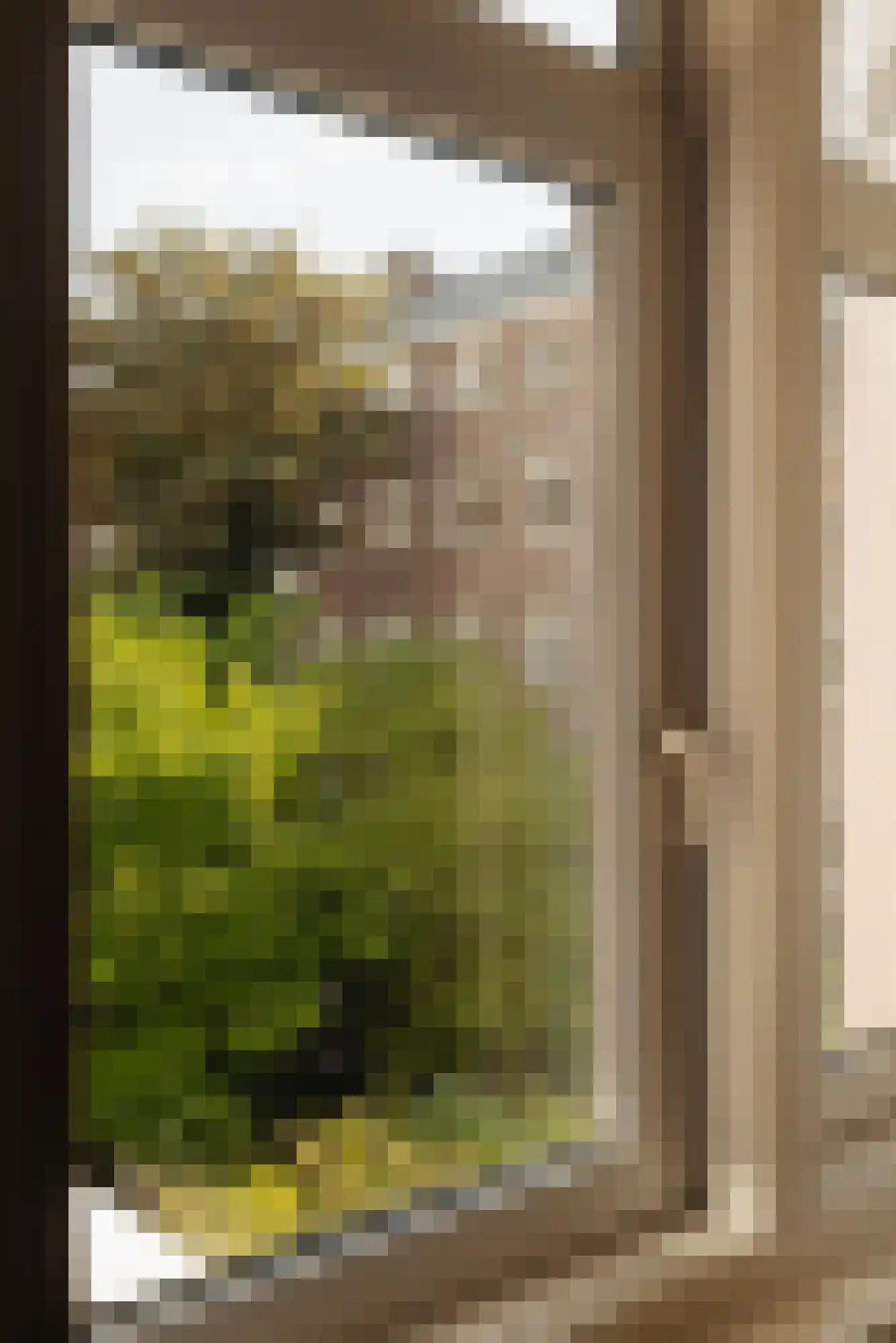 Rooseveltlaan 61 2 Amsterdam thumbnail 20