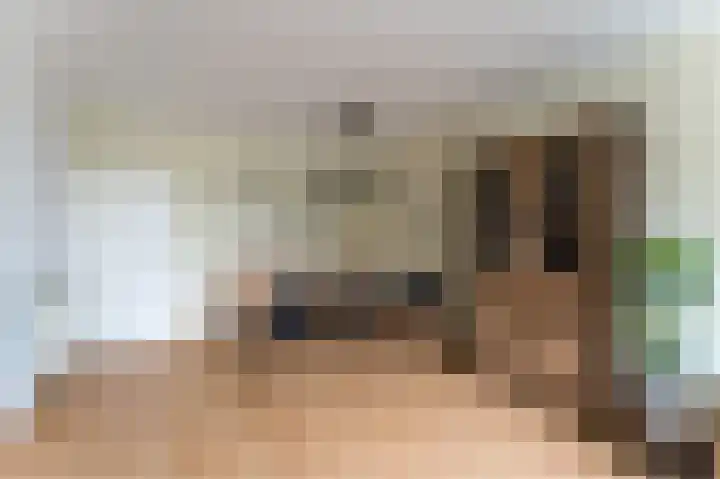 Rooseveltlaan 616 Utrecht thumbnail 10