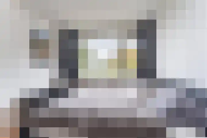 Rooseveltlaan 616 Utrecht thumbnail 23