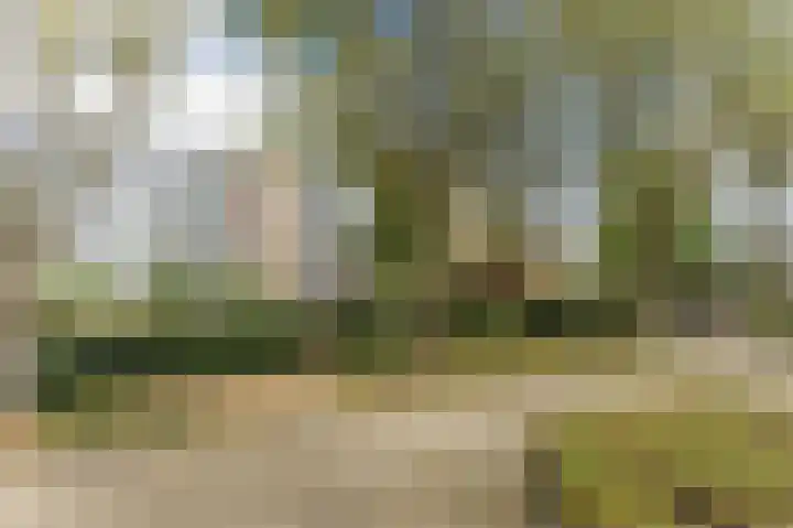 Rooseveltlaan 616 Utrecht thumbnail 32