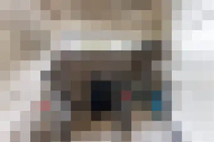 Rooseveltlaan 616 Utrecht thumbnail 33