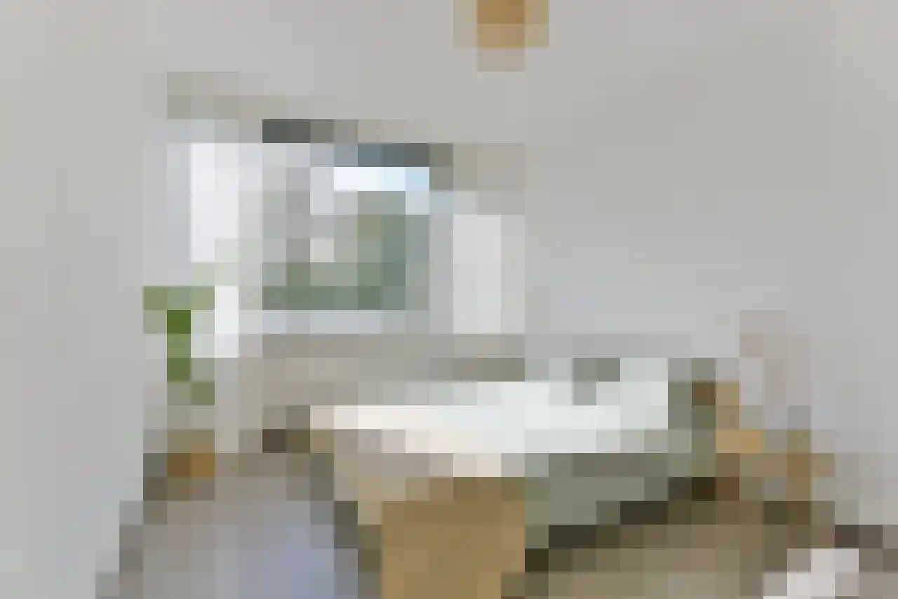 Rooseveltlaan 632 Utrecht thumbnail 19