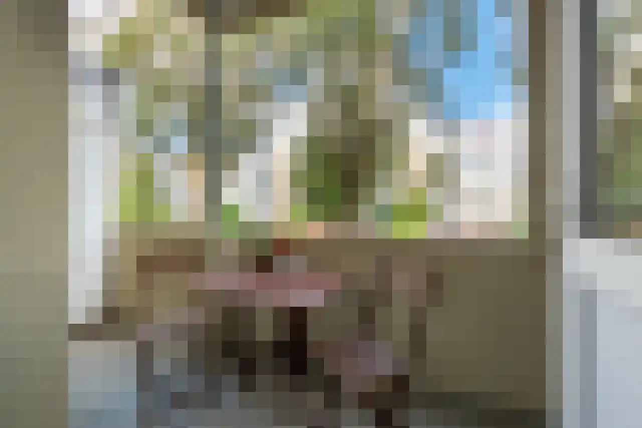 Rooseveltlaan 632 Utrecht thumbnail 26