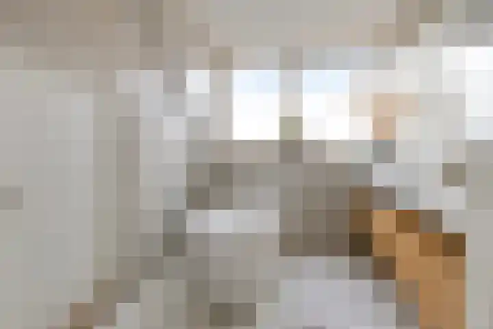 Rooseveltlaan 65 Delft thumbnail 16