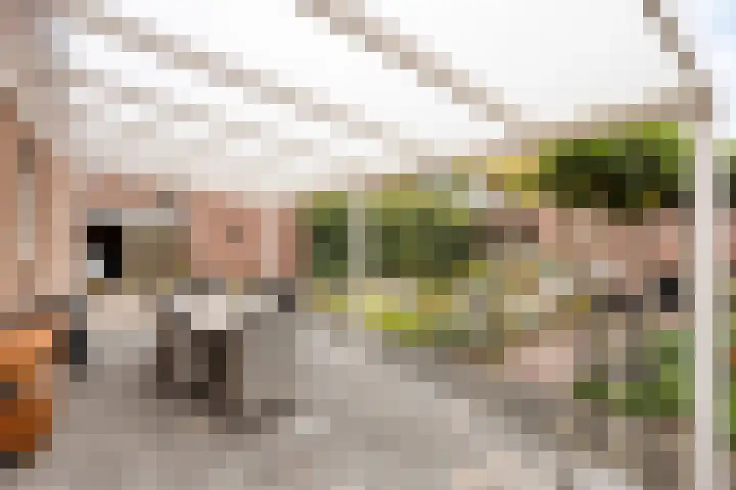 Rooseveltlaan 65 Delft thumbnail 23