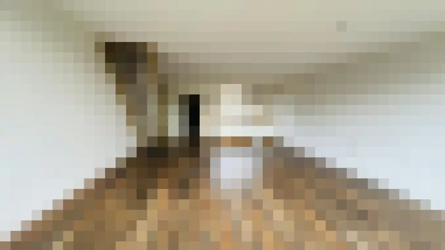 Rooseveltlaan 65 Delft thumbnail 4