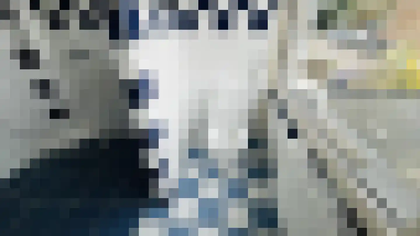 Rooseveltlaan 65 Delft thumbnail 8