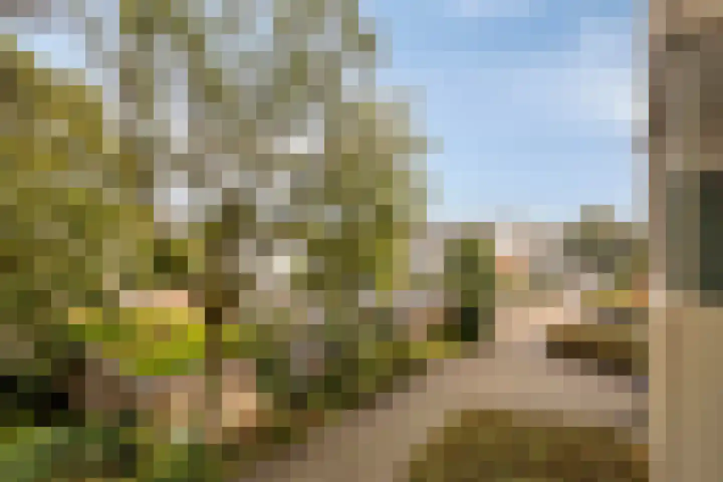 Rooseveltlaan 650 Utrecht thumbnail 23