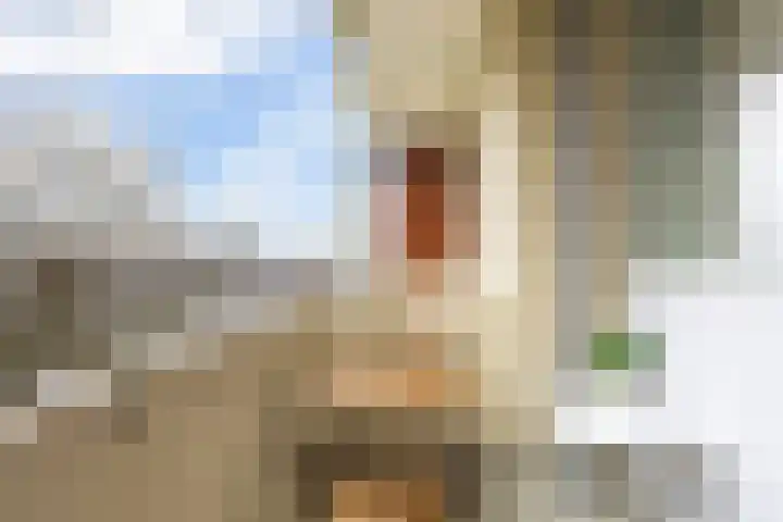 Rooseveltlaan 658 Utrecht thumbnail 10