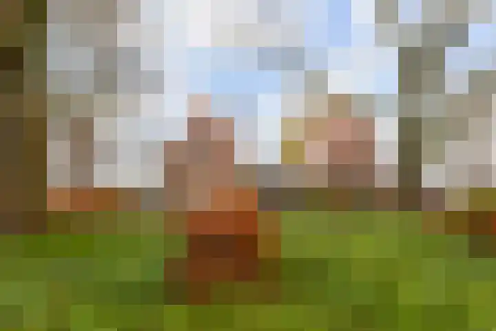 Rooseveltlaan 658 Utrecht thumbnail 21