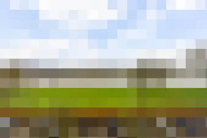 Rooseveltlaan 658 Utrecht thumbnail 4
