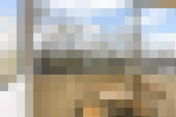 Rooseveltlaan 658 Utrecht thumbnail 9