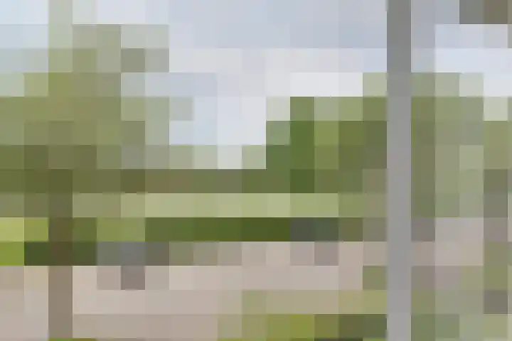 Rooseveltlaan 662 Utrecht thumbnail 14