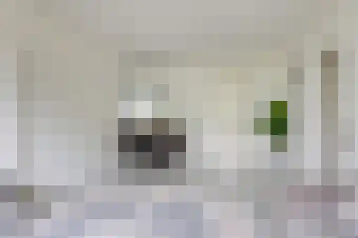 Rooseveltlaan 662 Utrecht thumbnail 17
