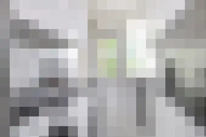 Rooseveltlaan 662 Utrecht thumbnail 23