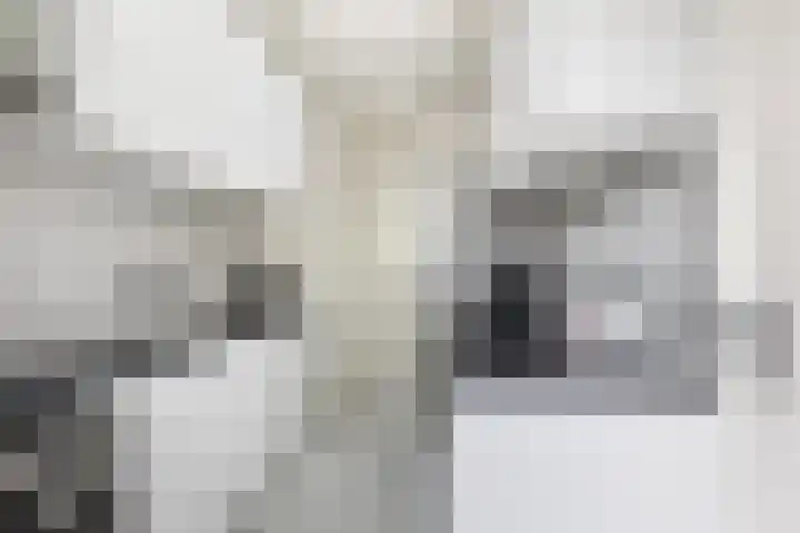 Rooseveltlaan 662 Utrecht thumbnail 24
