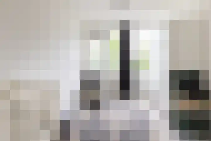 Rooseveltlaan 662 Utrecht thumbnail 30