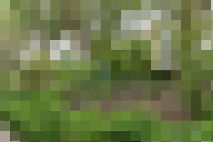 Rooseveltlaan 662 Utrecht thumbnail 35