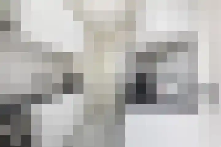 Rooseveltlaan 662 Utrecht thumbnail 4