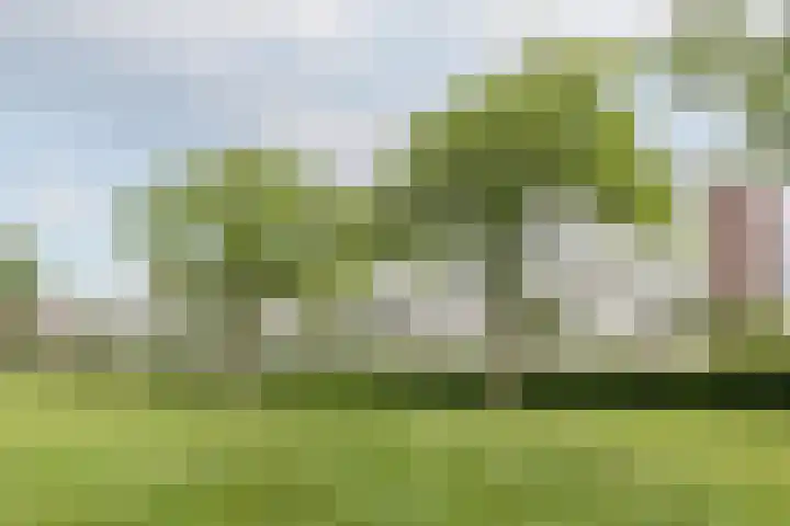 Rooseveltlaan 662 Utrecht thumbnail 41