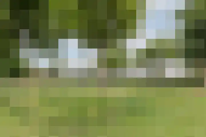 Rooseveltlaan 662 Utrecht thumbnail 42