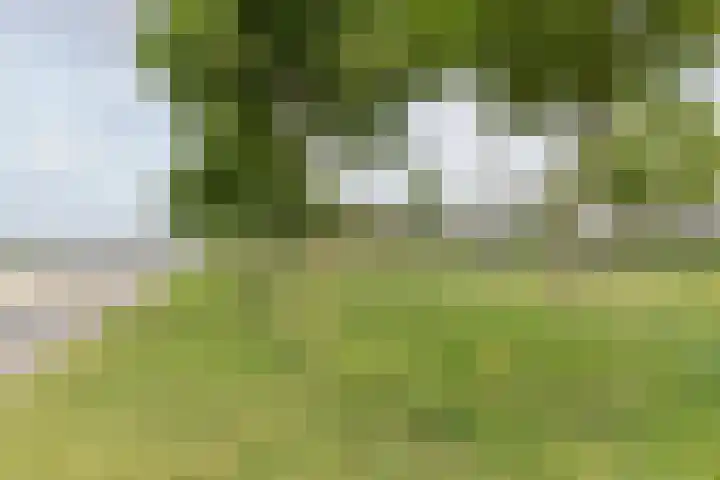 Rooseveltlaan 662 Utrecht thumbnail 43