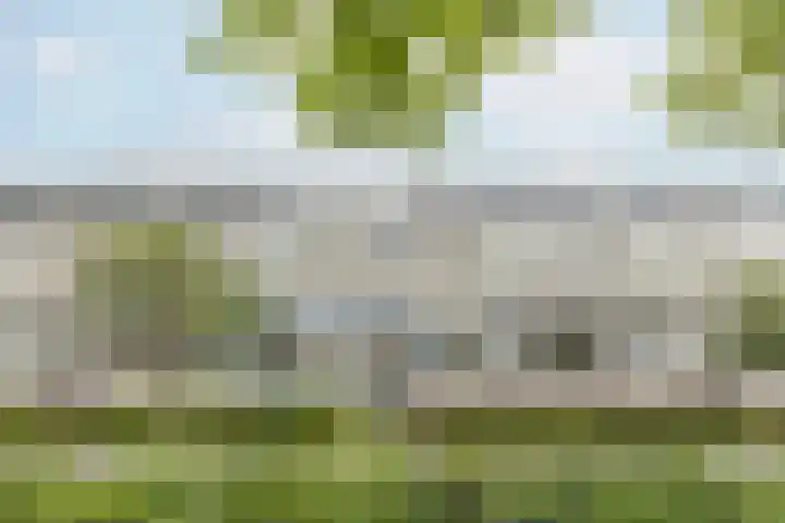 Rooseveltlaan 662 Utrecht thumbnail 6