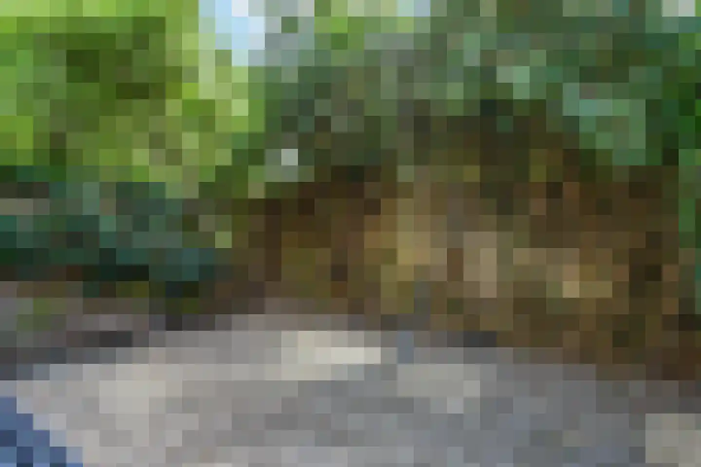 Rooseveltlaan 68 Delft thumbnail 29