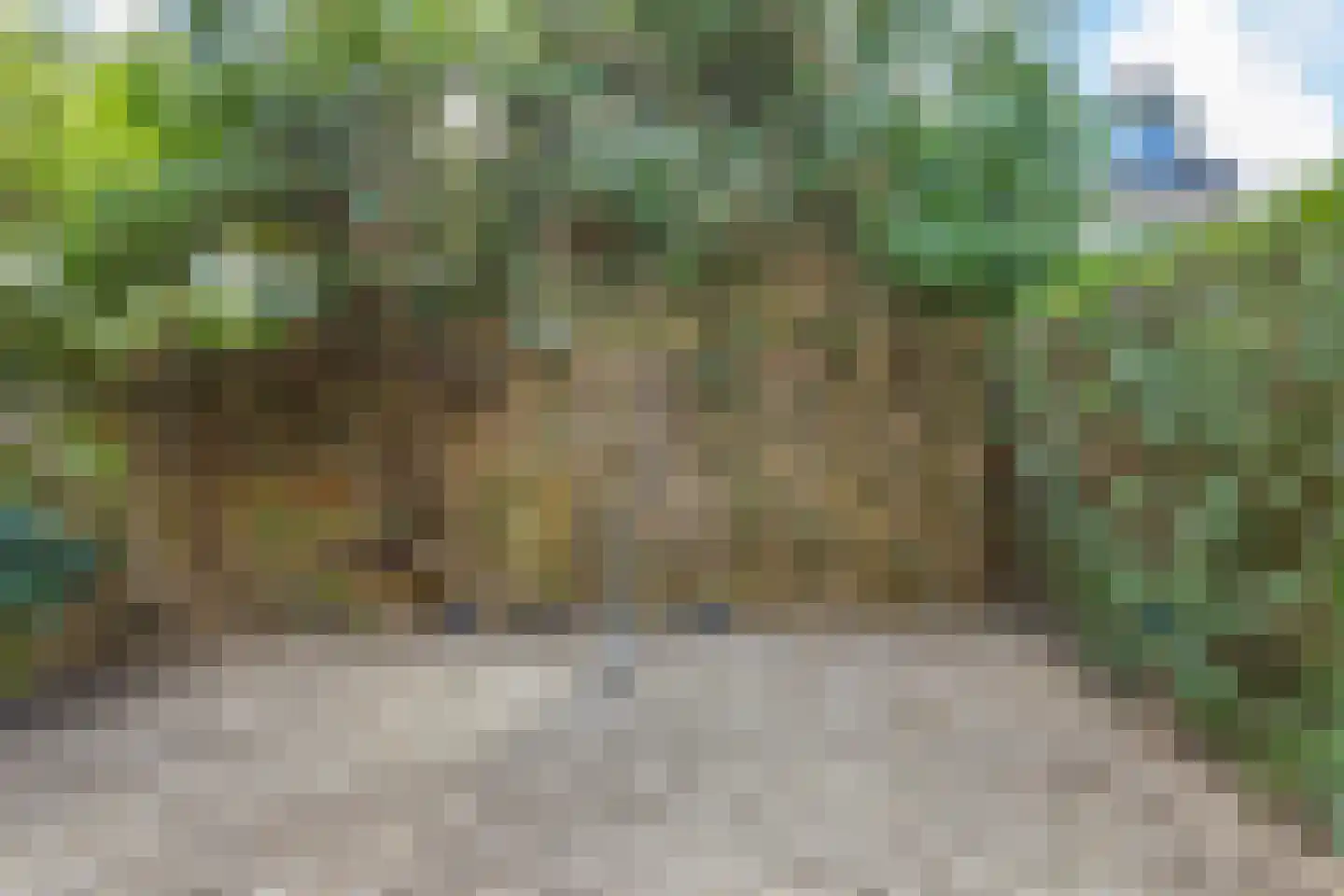 Rooseveltlaan 68 Delft thumbnail 30