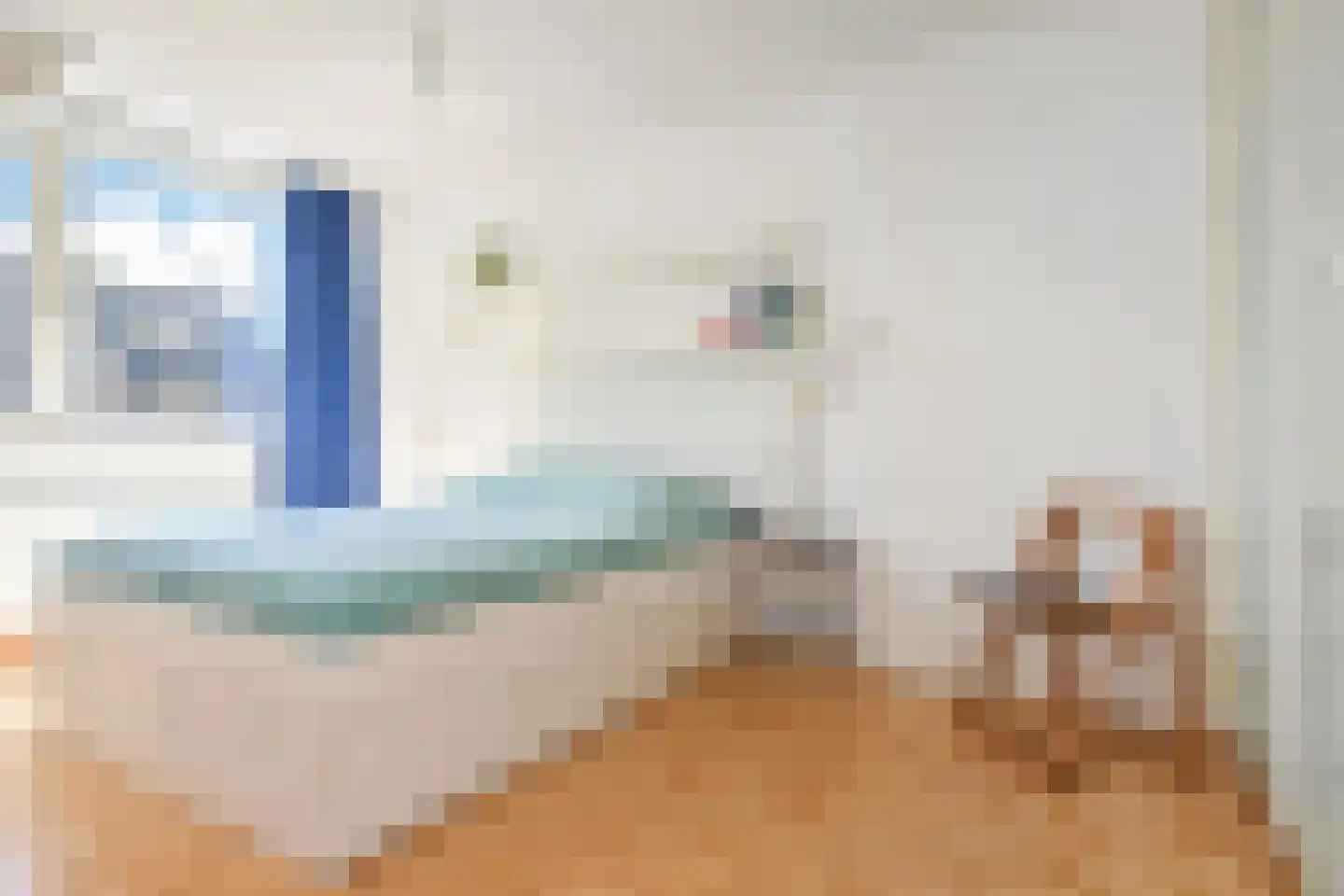 Rooseveltlaan 68 Delft thumbnail 38