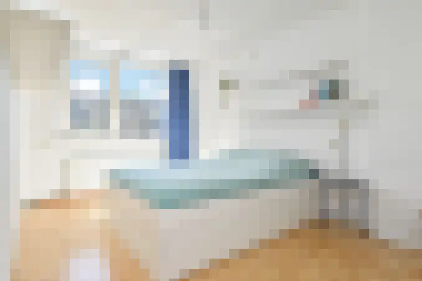 Rooseveltlaan 68 Delft thumbnail 39