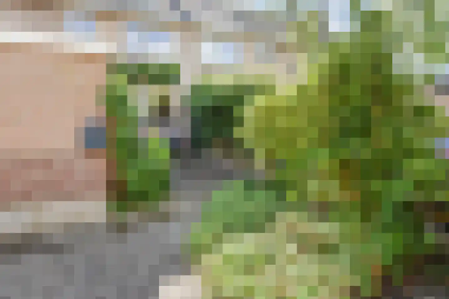 Rooseveltlaan 68 Delft thumbnail 4