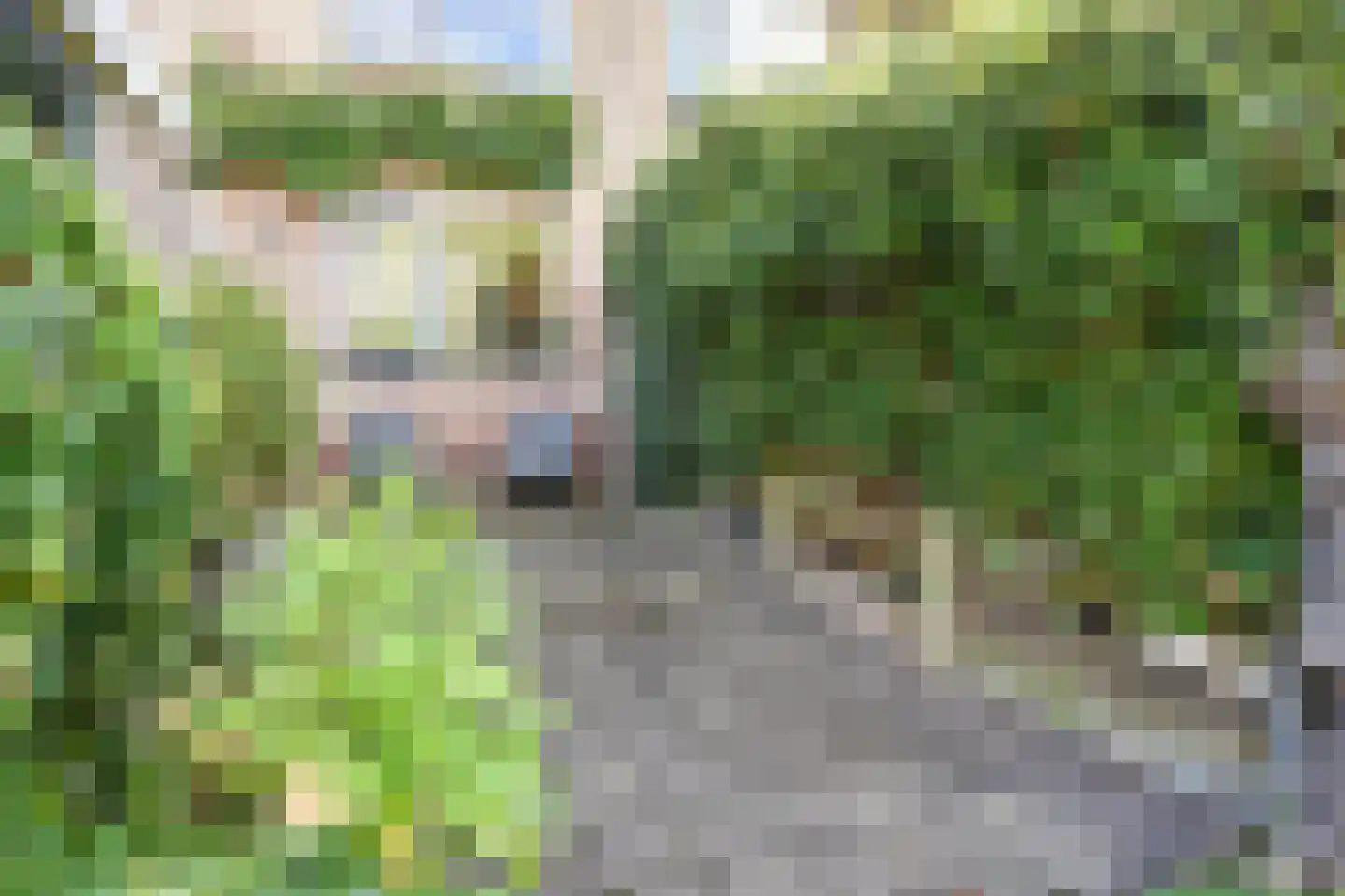 Rooseveltlaan 68 Delft thumbnail 5