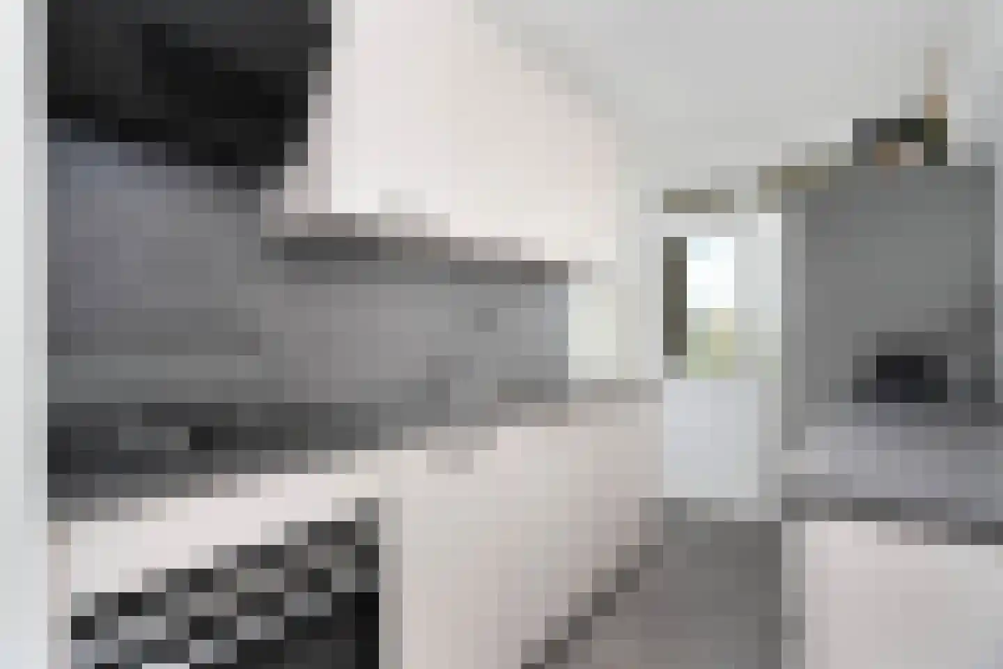 Rooseveltlaan 686 Utrecht thumbnail 10