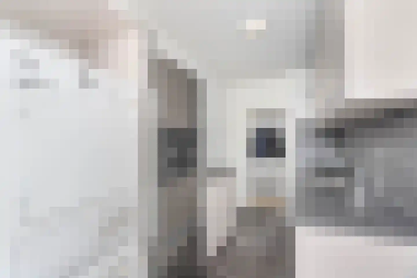 Rooseveltlaan 686 Utrecht thumbnail 11