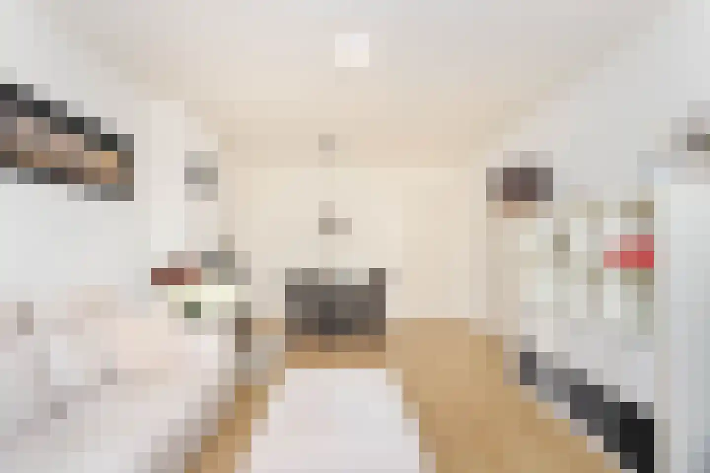Rooseveltlaan 686 Utrecht thumbnail 4