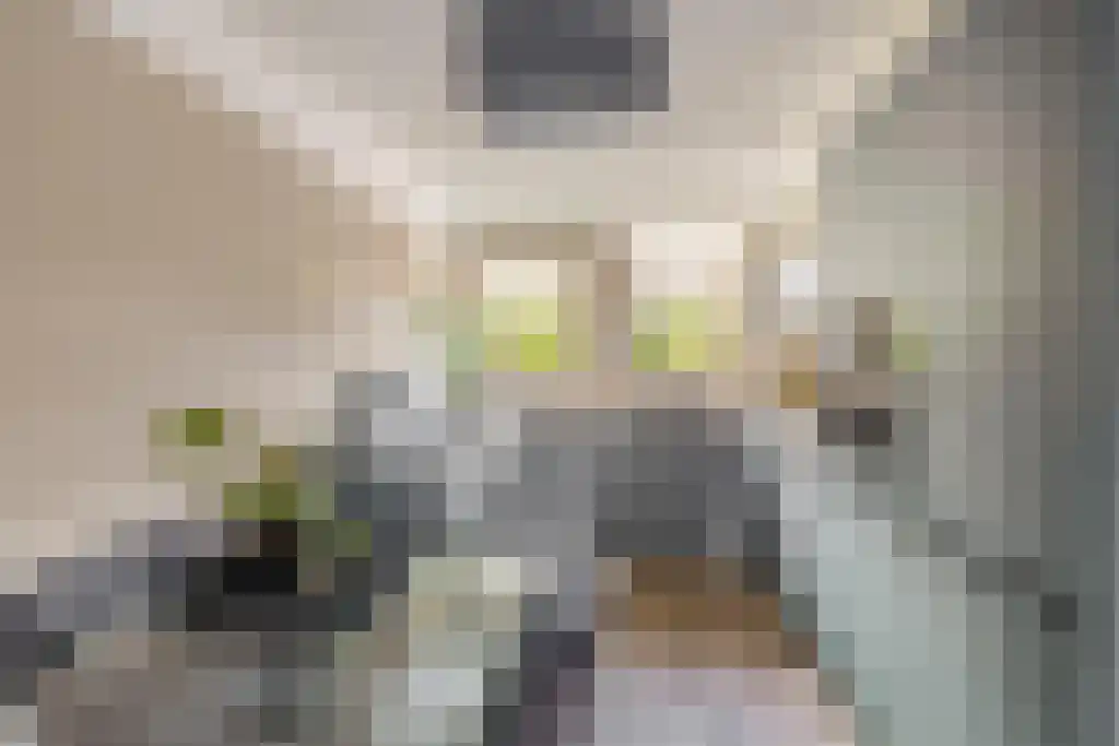 Rooseveltlaan 7 Hellevoetsluis thumbnail 4