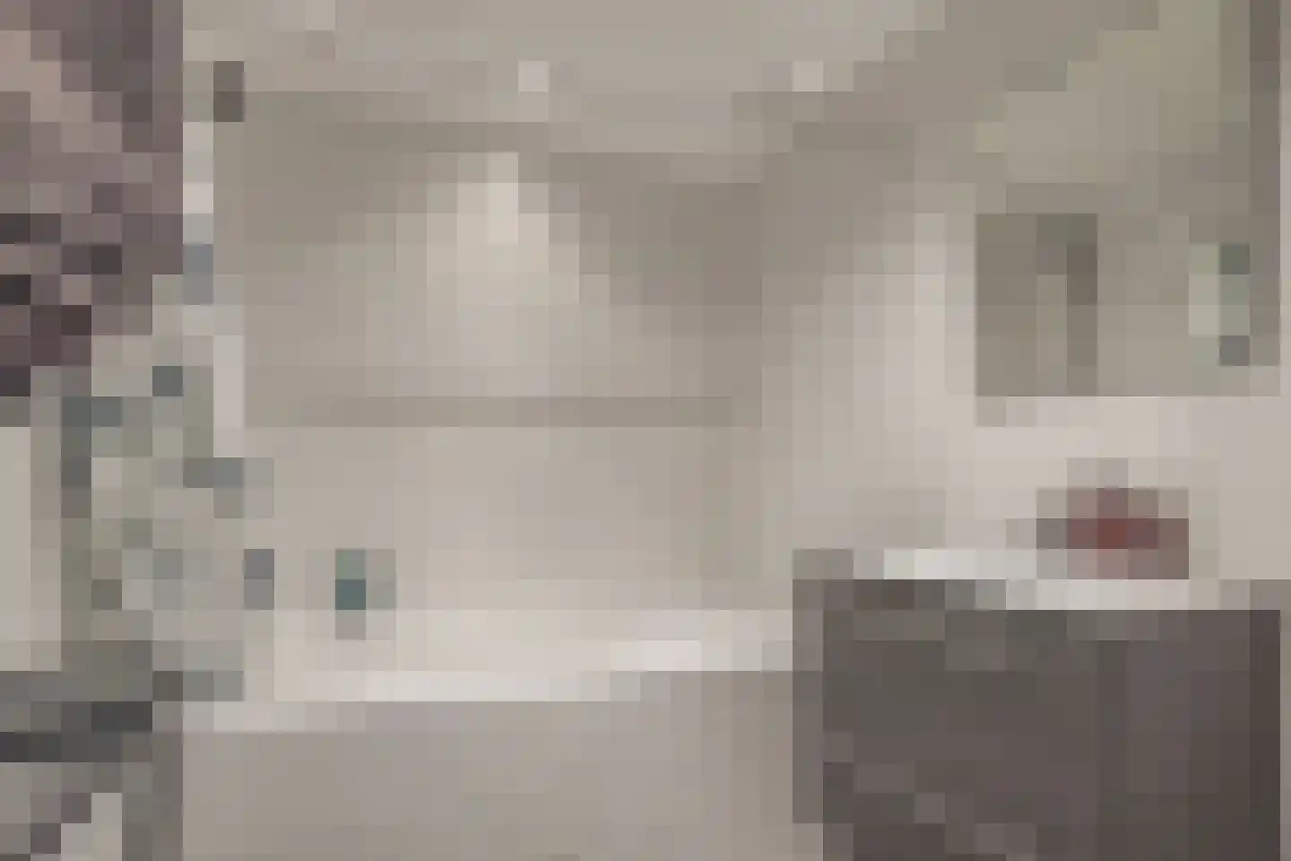 Rooseveltlaan 700 Utrecht thumbnail 25