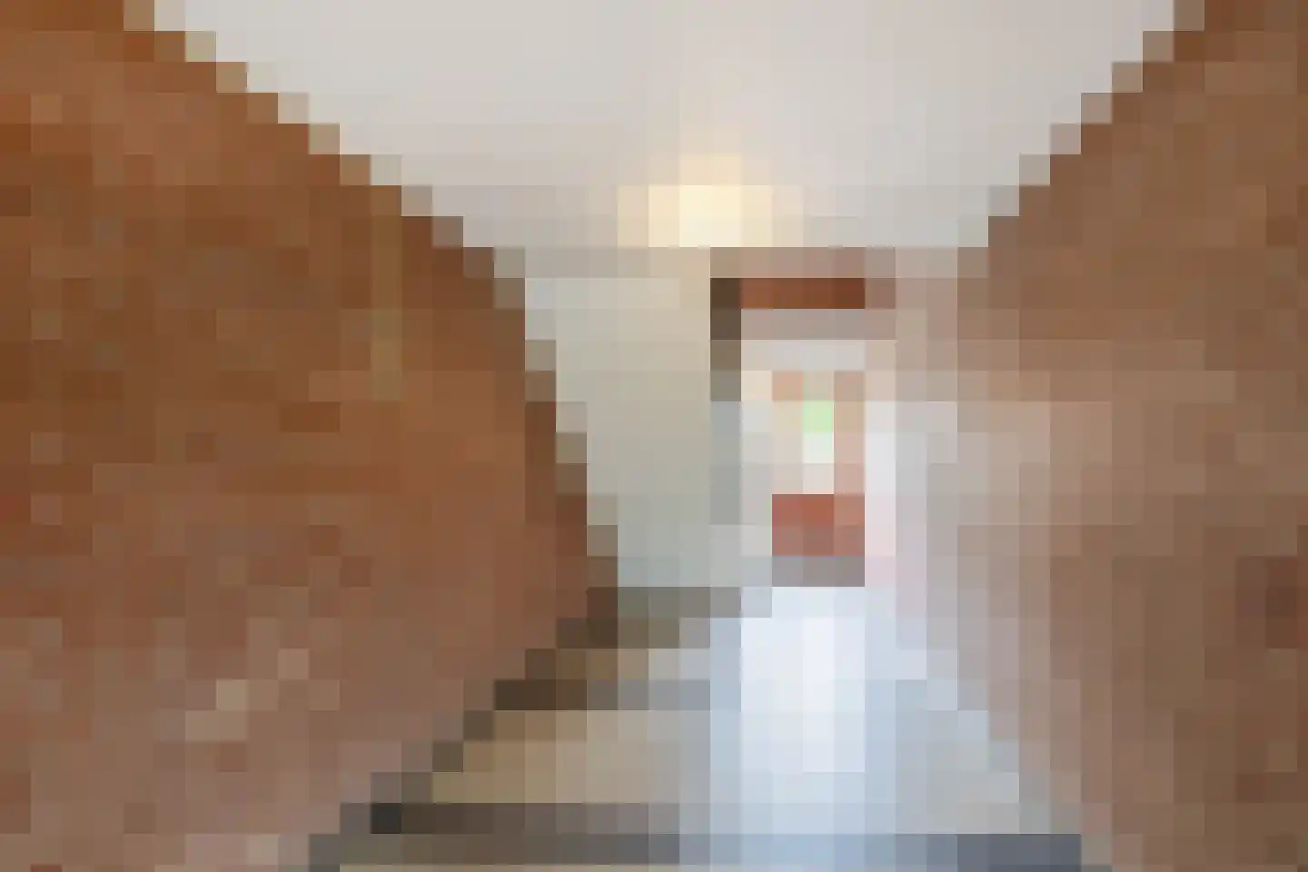 Rooseveltlaan 700 Utrecht thumbnail 32